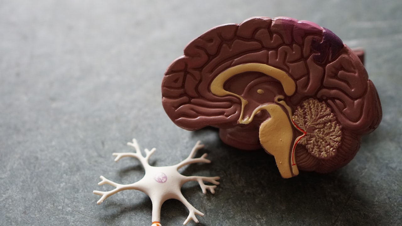 Mental Health Biomarkers