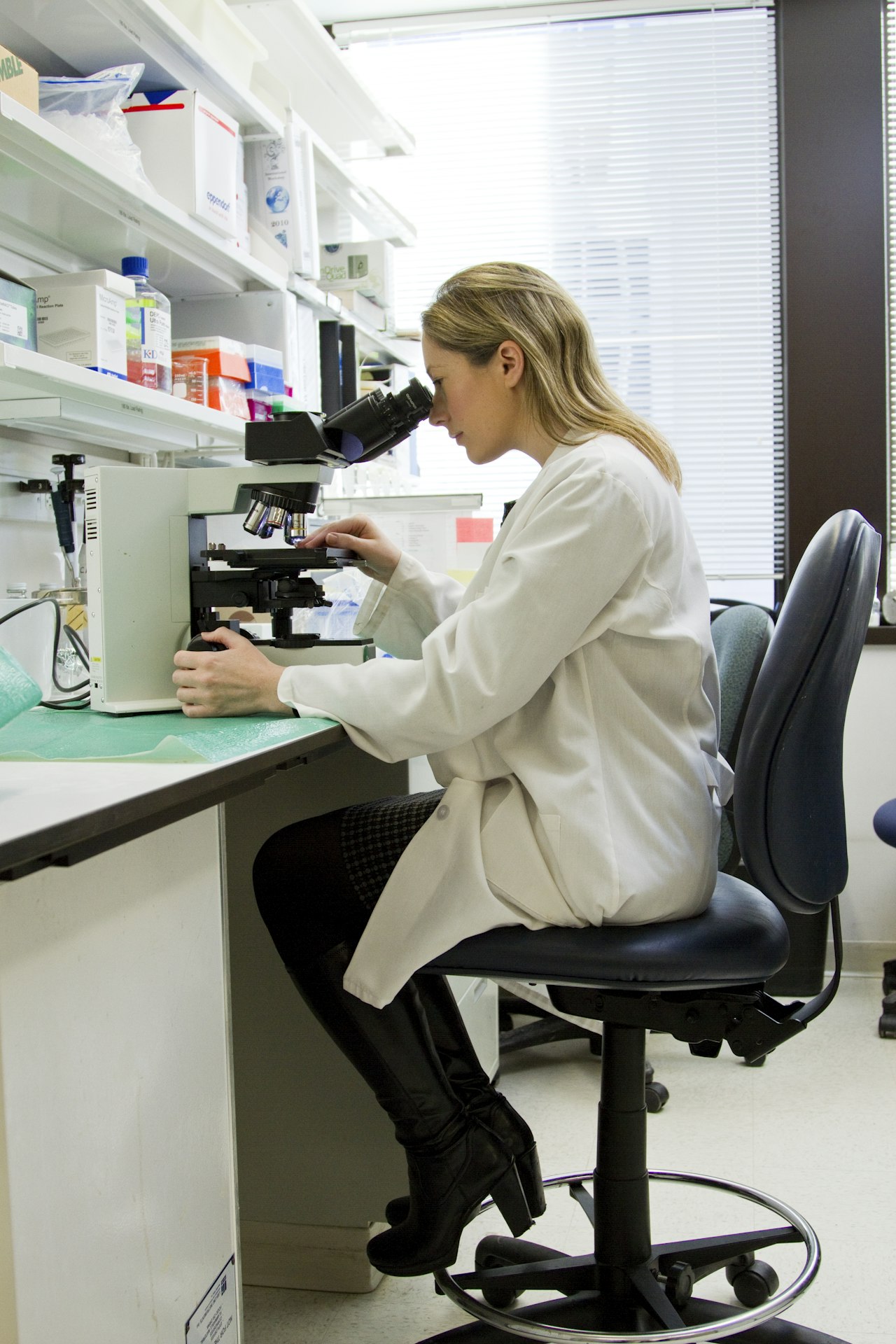 Clinical Chemistry & CBC